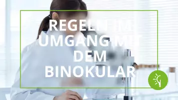 Vorschau - Präsentationen/Tafelbilder - Das Binokular: Regeln im Umgang (Präsentation) - Seite 1