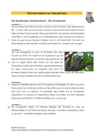 Vorschau - Arbeitsblätter - Tierbeschreibung Zwergohreule - Seite 1