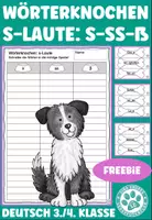 Vorschau - Arbeitsblätter - Wörterknochen s-Laute s, ss, ß Hundeklasse Deutsch 4. Klasse - Deckblatt