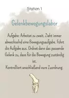 Vorschau - Stationenlernen - Mein Körper - Stationen zur Übung und Festigung - Seite 2