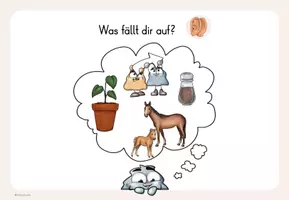 Vorschau - Präsentationen/Tafelbilder - Buchstabeneinführung Pf pf - Bildwortkarten und Tafelbilder - Seite 3