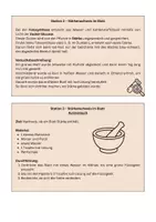 Vorschau - Stundenentwürfe - Fotosynthese, Pflanzenphysiologie & Mikroskopie – großes Komplettpaket - 18 Materialien mit Stationsarbeit, Experimenten, Arbeitsblättern, Mystery, Tatort-Material, Lernkontrolle und Lösungen - Seite 3