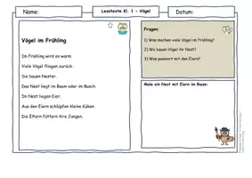 Vorschau - Arbeitsblätter - Vögel im Frühling – Lesetexte Klasse 1–4 Bundle | Sachunterricht & Deutsch | differenziert - Seite 1
