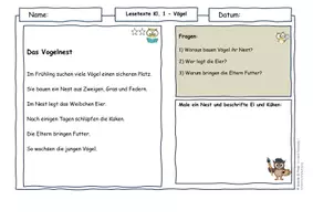 Vorschau - Arbeitsblätter - Vögel im Frühling – Lesetexte Klasse 1–4 Bundle | Sachunterricht & Deutsch | differenziert - Seite 2