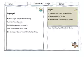 Vorschau - Arbeitsblätter - Vögel im Frühling – Lesetexte Klasse 1–4 Bundle | Sachunterricht & Deutsch | differenziert - Seite 3