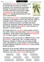 Vorschau - Arbeitsblätter - Cannabis | Cloze Worksheet | Biology & Health Education | English - Seite 2