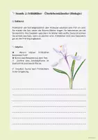 Vorschau - Unterrichtsreihen - Frühling - naturwissenschaftliche Vorgänge im Frühling - Seite 2