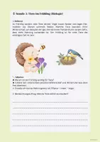 Vorschau - Unterrichtsreihen - Frühling - naturwissenschaftliche Vorgänge im Frühling - Seite 3