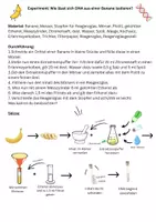 Vorschau - Arbeitsblätter - Experiment - DNA isolieren aus einer Banane mit Lösung - Seite 3