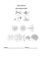 Vorschau - Unterrichtsreihen - Schall komplett erklärt – Das große 3-in-1 XXL-Materialpaket (Präsentationen, Sachtexte, Forscherhefte & Arbeitsblätter) - Seite 1