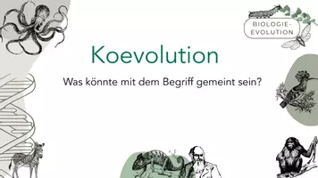 Vorschau - Arbeitsblätter - Koevolution - Seite 2