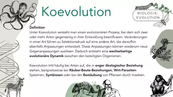 Vorschau - Arbeitsblätter - Koevolution - Seite 3