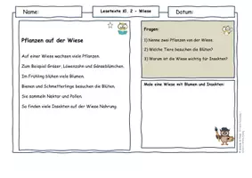 Vorschau - Arbeitsblätter - Vögel im Frühling – Lesetexte Klasse 2 | Nahrung & Lebensraum | Sachunterricht & Deutsch | differenziert mit Lösungen - Seite 1