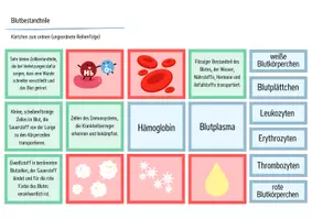 Vorschau - Arbeitsblätter - Blut & Blutbestandteile - Legekarten, Domino & Tabelle - Seite 2