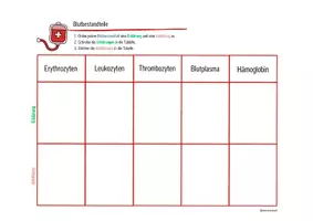 Vorschau - Arbeitsblätter - Blut & Blutbestandteile - Legekarten, Domino & Tabelle - Seite 3
