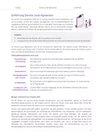 Vorschau - Arbeitsblätter - Service Level Agreement - Komplett vorbereitete Stunde - Seite 3