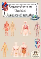 Vorschau - Unterrichtsreihen - Präsentation zu den Organsystemen des Menschen: sequenzbegleitend und interaktiv - Deckblatt