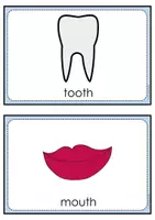 Vorschau - Bildkarten - Englisch Klasse 3: Flashcards body - Seite 2