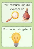 Vorschau - Unterrichtsreihen - Frühblüher Sachunterricht Klasse 1 & 2 Komplettpaket Tulpe - Seite 3