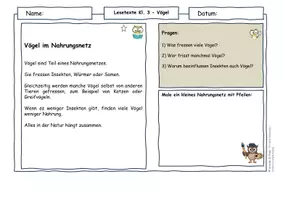 Vorschau - Arbeitsblätter - Vögel im Frühling Klasse 3 – Brutpflege, Nesthocker & Nahrungsnetze | Differenzierte Sachtexte Grundschule - Seite 3