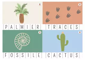 Aperçu - Apprentissages en autonomie - 17. 🦕 Cartes à Pince Mots — Les Dinos 2026 - Page 3
