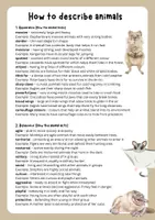 Vorschau - Arbeitsblätter - Describing Animals - Deckblatt