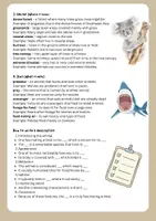 Vorschau - Arbeitsblätter - Describing Animals - Seite 1