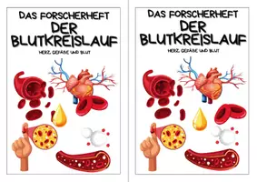Vorschau - Arbeitsblätter - Forscherheft - Der Blutkreislauf – Herz, Gefäße und Blut - Seite 2