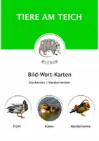 Vorschau - Unterrichtsreihen - Der Vogel: Komplettpaket - Seite 1