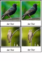 Vorschau - Fördermaterial/Inklusion - Bildkarten: Vögel im Park (3-Teile-Karten nach Montessori) - Seite 1