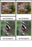 Vorschau - Fördermaterial/Inklusion - Bildkarten: Vögel im Park (3-Teile-Karten nach Montessori) - Seite 2