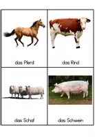 Vorschau - Unterrichtsreihen - Nutztiere/ Bauernhof: Komplettpaket - Seite 3