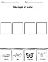 Aperçu - Matériel pour travaux manuels / dessin - Le cycle de vie du papillon – Activités,découper et coller, séquencer - Page 1