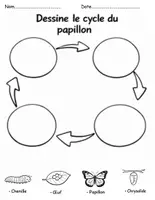 Aperçu - Matériel pour travaux manuels / dessin - Le cycle de vie du papillon – Activités,découper et coller, séquencer - Page 2