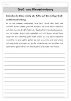 Vorschau - Arbeitsblätter - Groß- und Kleinschreibung - Seite 1