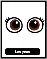 Aperçu - Cartes / Images - Le corps humain – Cartes de vocabulaire illustrées - Page 1