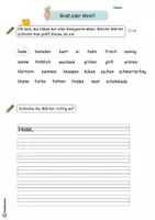 Vorschau - Arbeitsblätter - Oster-Wiederholungsheft Deutsch (Klasse 2) - Seite 3