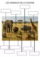 Aperçu - Préparation de séance / Séance complète - À la découverte des paysages d’Afrique - Page de couverture