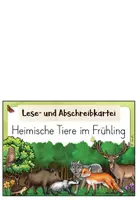 Vorschau - Bildkarten - Abschreibkartei Tiere im Frühling – Lese- und Schreibtraining für die Grundschule | Sachtexte in Druckschrift - Seite 1