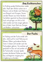 Vorschau - Bildkarten - Abschreibkartei Tiere im Frühling – Lese- und Schreibtraining für die Grundschule | Sachtexte in Druckschrift - Seite 2