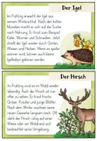 Vorschau - Bildkarten - Abschreibkartei Tiere im Frühling – Lese- und Schreibtraining für die Grundschule | Sachtexte in Druckschrift - Seite 3