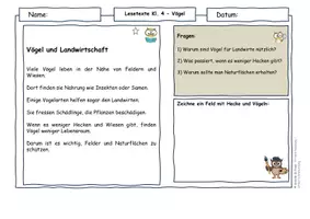 Vorschau - Arbeitsblätter - Vögel im Frühling – Lesetexte Klasse 4 | Klimawandel, Artenvielfalt & Landwirtschaft | Sachunterricht | differenziert - Seite 1