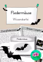Vorschau - Aufgabenkarten - Fledermaus Wissenskartei - mit Arbeitsheft - Deckblatt