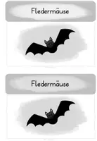 Vorschau - Aufgabenkarten - Fledermaus Wissenskartei - mit Arbeitsheft - Seite 2