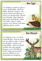 Vorschau - Bildkarten - Abschreibkartei Tiere im Frühling | Schulausgangsschrift (SAS) - Seite 3
