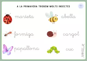 Vista previa - Hojas de trabajo - 🌸 Activitats de primavera – Lectoescriptura i numeració - página 2