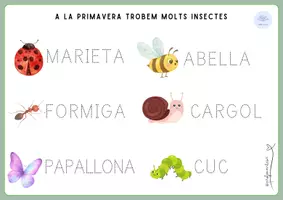 Vista previa - Hojas de trabajo - 🌸 Activitats de primavera – Lectoescriptura i numeració - página 3