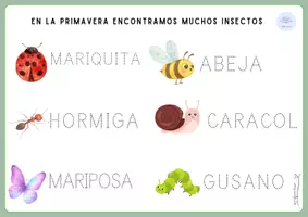 Vista previa - Hojas de trabajo - 🌸 Actividades de primavera Lectoescritura y numeración🌸 - página 3