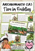 Vorschau - Bildkarten - Abschreibkartei Tiere im Frühling – Lese- und Schreibtraining für die Grundschule | Sachtexte in Lateinischer Ausgangsschrift (LA) - Deckblatt