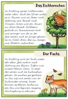 Vorschau - Bildkarten - Abschreibkartei Tiere im Frühling – Lese- und Schreibtraining für die Grundschule | Sachtexte in Lateinischer Ausgangsschrift (LA) - Seite 2